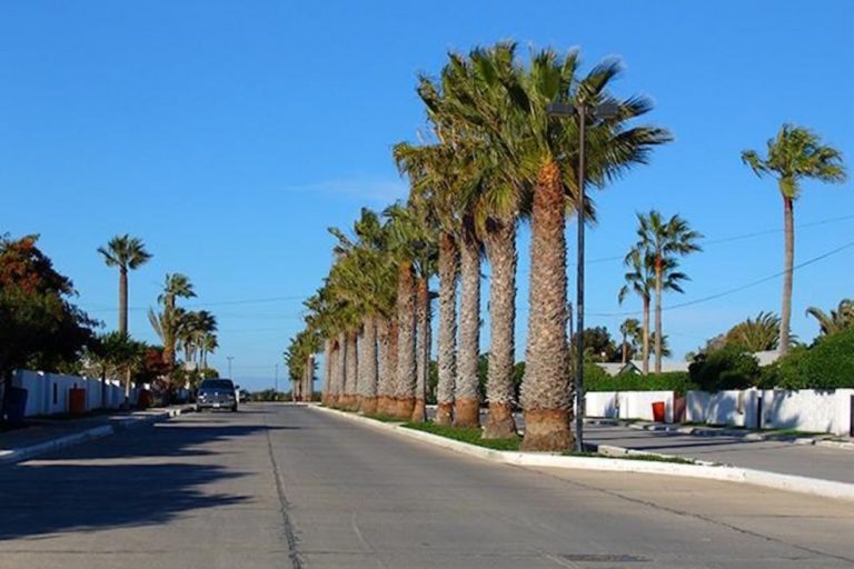 Guerrero Negro