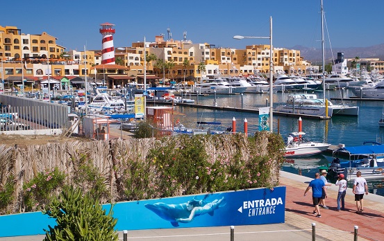 cabo san lucas