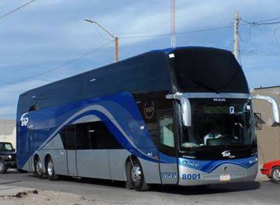 Autobuses TAP Terminales