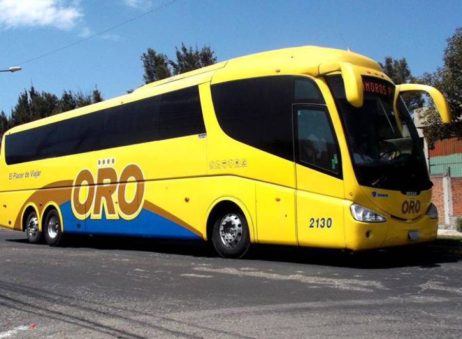 Autobuses Oro Terminales