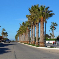 Terminal de Guerrero Negro